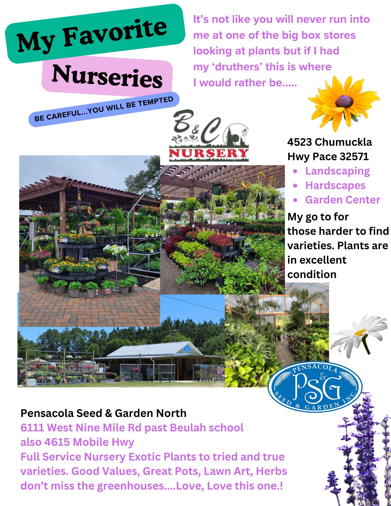 Blue and White Minimalist Climate Change Flyers